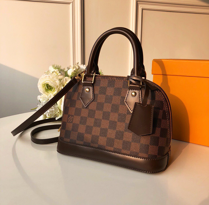 Louis vuitton metaphysician alma pm damier