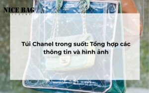 tui chanel trong suot 2